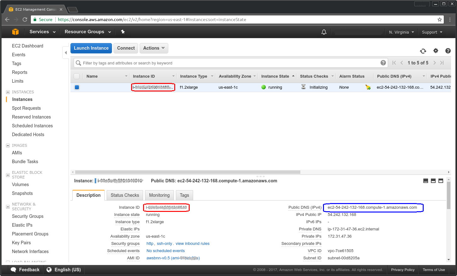 _images/09_AWS_console_instance_dns.png